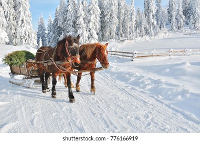 Winter In Transylvania