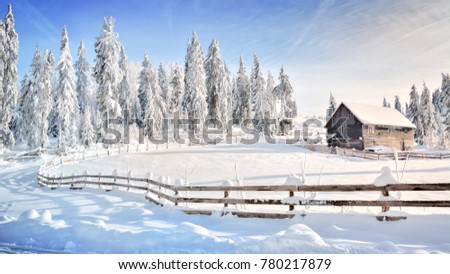 Winter in Transylvania