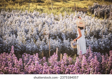 Winter travel relax vacation concept, Young happy traveler asian woman with dress taking photo and selfie with mobile phone on Margaret Aster flowers field in garden at Chiang Mai, Thailand - Powered by Shutterstock