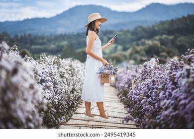 Winter travel relax vacation concept, Young happy traveler asian woman with dress taking photo and selfie with mobile phone on Margaret Aster flowers field in garden at Chiang Mai, Thailand - Powered by Shutterstock