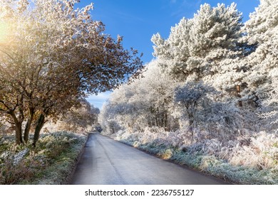 Winter tree frost on UK rural roads. Icy weather with clear blue skies in December - Shutterstock ID 2236755127