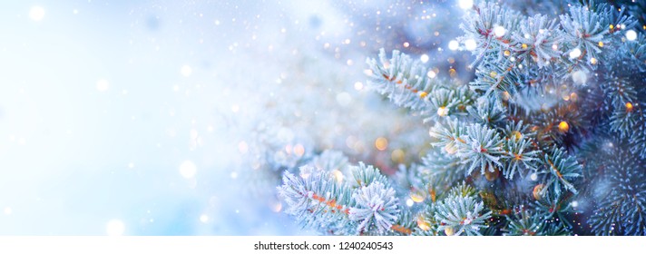 Winter Tree Holiday Snow Background. Snowflakes. Blue spruce, Beautiful Christmas and New Year Xmas tree border art design, abstract Blue Backdrop with snow, widescreen