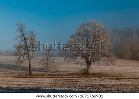 Similar – winter fog Nature