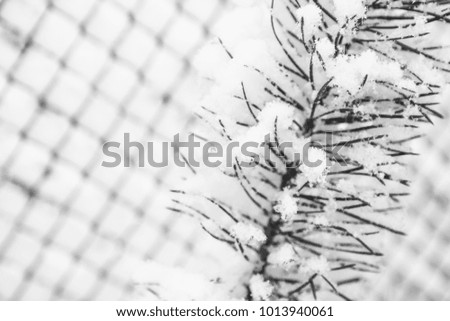 Similar – Image, Stock Photo Crystal on wire mesh fence