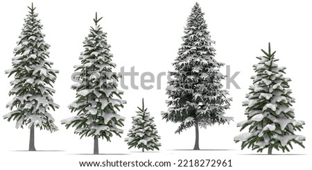 winter tree snow isolated on white
