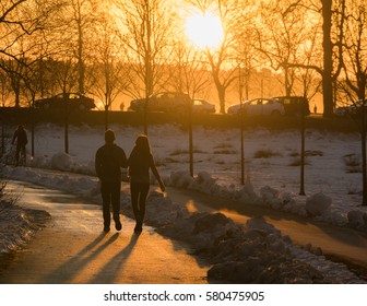 Winter Tree With Sunset Backgrounds,Stanley Park,Vancouver BC Canada