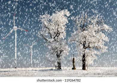 Winter Tree With Wind Turbine