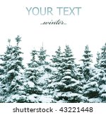 Winter Trees