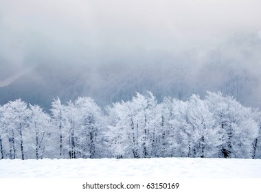 184,791 Winter tree line Images, Stock Photos & Vectors | Shutterstock