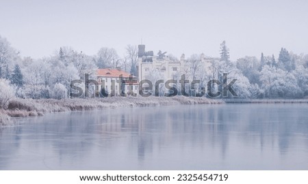 Winter trees and castle by the lake in frost and rime