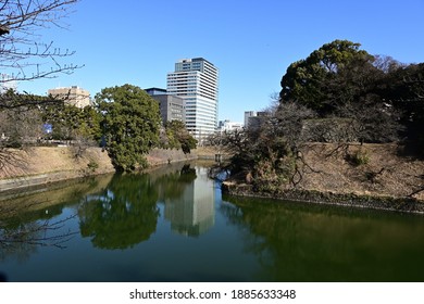 Winter Trees And A Modern Tall Building With Their Reflection On A Moat Water 