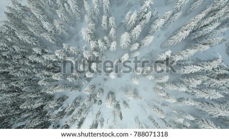 Similar – Winter in the Giant Mountains near Pec pod Snezkou, Czech Republic