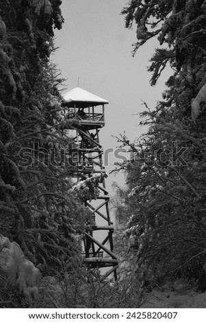 Winter trees watchtower monochrome blacknwhite