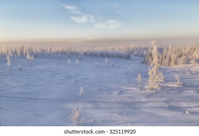 Winter Tundra