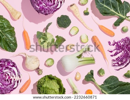 Winter vegetables: Collard greens, Swiss chard, carrot, parsnip, radish, broccoli, Brussels sprout, kohlrabi, red cabbage, fennel, garlic and kale on pastel pink background. Flat lay raw food pattern.