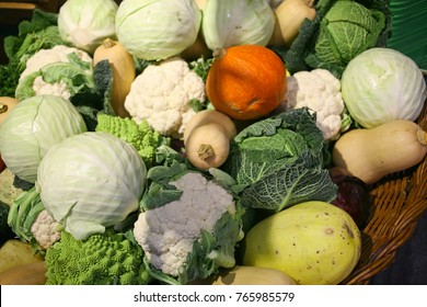 Winter Vegetables: Pumpkins And Cabbages At Local Farmers Market 