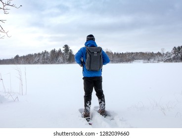 A Winter View