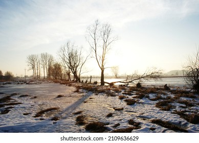 Winter View Of The Field. Snow On The Grass. Countryside In Poland. Fallen Tree Next To Meadow, Cut By Beavers. Frozen Drainage Ditch.