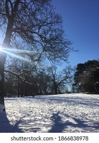 Winter View In High Park, Toronto.