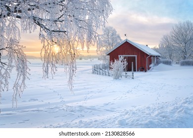 Winter view of a red barn at sunset in Rusko, Finland. Trees covered with snow. - Powered by Shutterstock