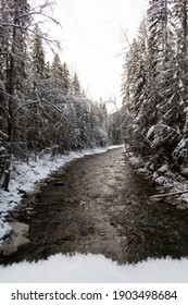 Winter View Of Robson River Within Robson Provincial Park, Canada