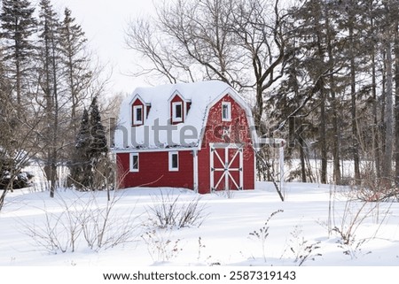 Winter view of small red barn in field with mixed trees covered in fresh snow in a rural area of Quebec City, Quebec, Canada