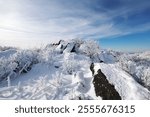 Winter view of snow covered hoar frost on branch and columnar joint rocks on North Peak of Mudeungsan Mountain at Buk-gu, Gwangju, South Korea
