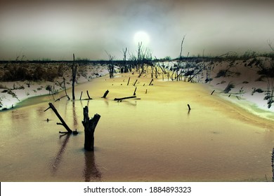 Winter Views Of Lowland Moor With Yellow Rotten Ice, Dry Trees And Black Clouds With Low Sun (mid Winter Day). Old Shallow Channels