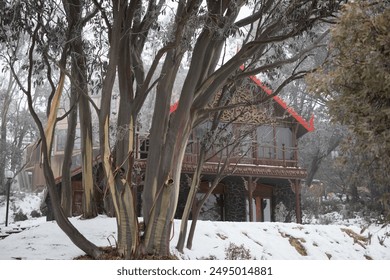 winter village house tree snow cold ice  - Powered by Shutterstock