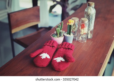 Winter In Vintage Style. Red Gloves And Cactus On Wooden Background