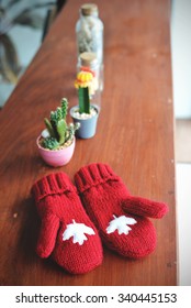 Winter In Vintage Style. Red Gloves And Cactus On Wooden Background