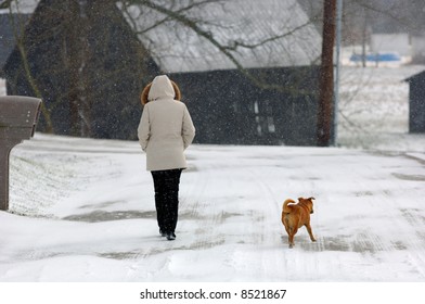 A Winter Walk