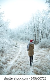 Winter Walk In The Woods