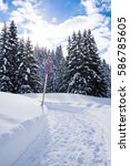 Winter walking path through the woods in the alps