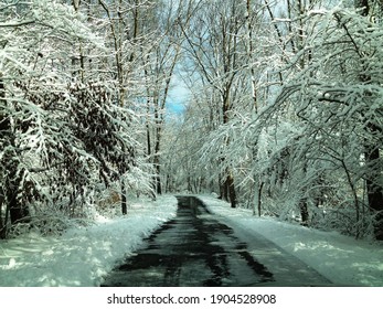 Winter  Way  In Stonington Connecticut 