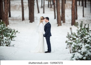 Winter Wedding Couple, Bride And Groom At Their Winter Wedding Day