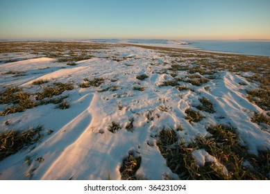 Winter wheat covered with melting snow in early spring - Shutterstock ID 364231094
