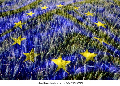 Winter Wheat Crop In Late June Overlaid With The Flag Of The European Union