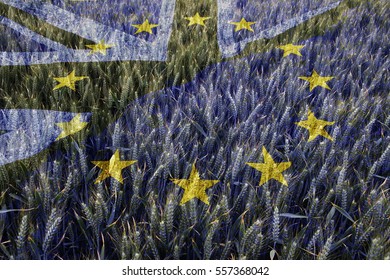 Winter Wheat Crop In Late June Overlaid With The Flags Of Great Britain And The European Union