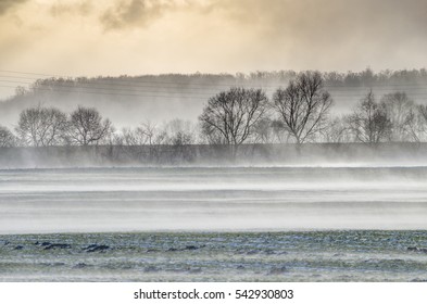 Winter Wind