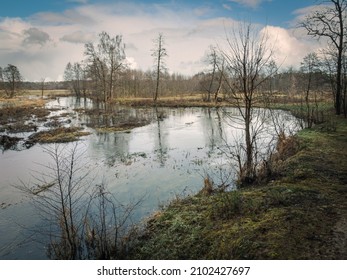 Winter Without Snow On A River In Central Poland.