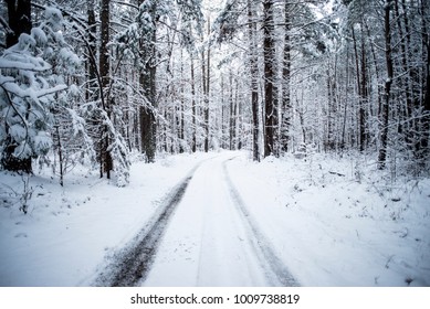 Winter Wonder Path