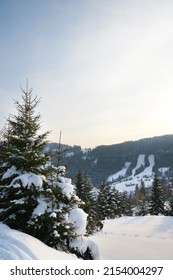 Winter Wonderland Background. Frosty Sunny Day In Mountain Spruce Forest. Snowy Trees And Blue Sky