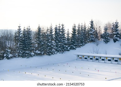 Winter Wonderland Background. Frosty Sunny Day In Mountain Spruce Forest. Snowy Trees And Blue Sky