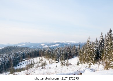 Winter Wonderland Background. Frosty Sunny Day In Mountain Spruce Forest. Snowy Trees And Blue Sky. High Quality Photo