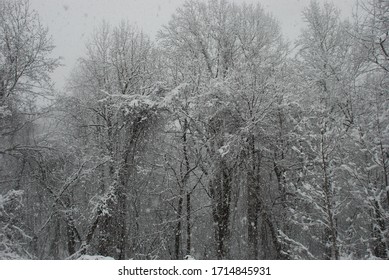 Winter Wonderland In Chester County, PA 