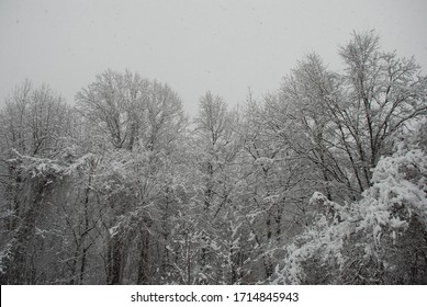 Winter Wonderland In Chester County, PA 