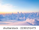 Winter wonderland in Finnish Lapland. Winter landscape from Riisitunturi National Park, Posio, Finland