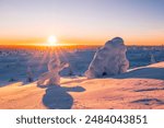 Winter wonderland in Finnish Lapland. Winter landscape from Riisitunturi National Park, Posio, Finland