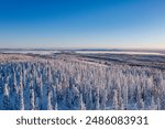 Winter wonderland in Finnish Lapland. Winter landscape from Riisitunturi National Park, Posio, Finland